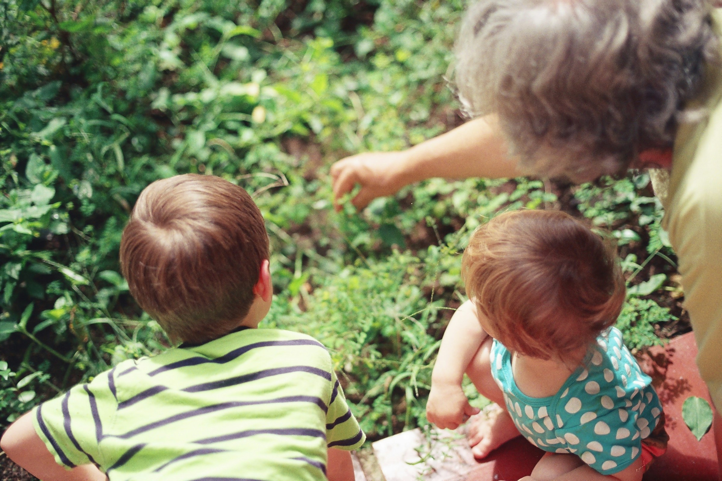 A parent and young children exploring outside together